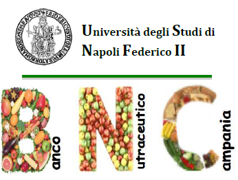 Logo dell' Università Degli studi di Napoli Federico secondo e logo del Banco nutraceutico Campania, le tre iniziali del nome create con prodotti alimentari