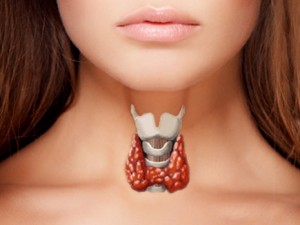 volto femminile con evidenza la tiroide
