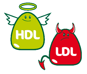HDL e LDL colesterolo cattivo e colesterolo buono il primo vedere con aureola il secondo rosso con corna e coda come un diavolo