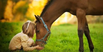 cavallo e bambina